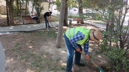 Binəqədi rayonunda 12 iyul 2025-ci il tarixində növbəti ümumrayon iməciliyi keçirildi