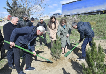 Binəqədidə “Şəhərsalma və Memarlıq İli” ili çərçivəsində ağacəkmə aksiyası keçirildi