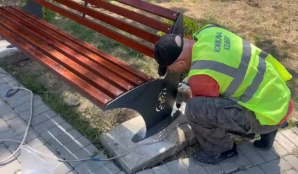 Binəqədi rayonunda 24 may 2025-ci il tarixində növbəti ümumrayon iməciliyi keçirildi.
