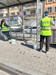 17 may 2025-ci il tarixində növbəti ümumrayon iməciliyi keçirildi
