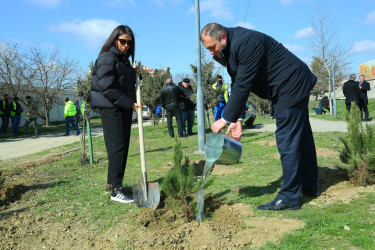 Binəqədidə “Şəhərsalma və Memarlıq İli” ili çərçivəsində ağacəkmə aksiyası keçirildi