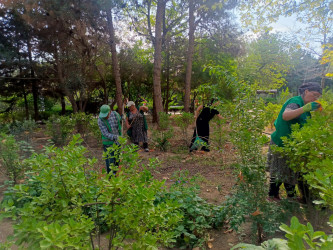 Binəqədi rayonunda 05 sentyabr 2026-cı il tarixində növbəti ümumrayon iməciliyi keçirildi