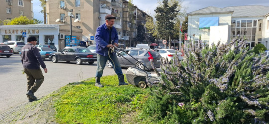 Binəqədi rayonunda 18 aprel 2026-cı il tarixində növbəti ümumrayon iməciliyi keçirildi