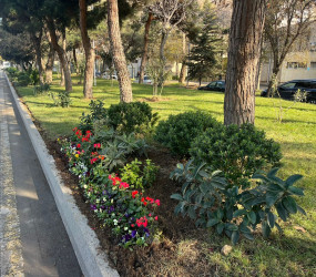 Binəqədi rayonu ərazisində abadlıq və təmizlik işləri mütəmadi davam etdirilir