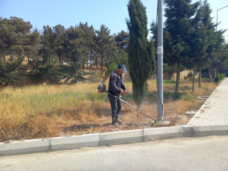 Binəqədi rayonunda metronun "Avtovagzal" stansiyası ətrafında yerləşən parkda abadlıq işləri mütəmadi davam etdirilir