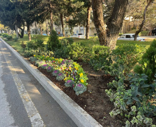 Binəqədi rayonu ərazisində abadlıq və təmizlik işləri mütəmadi davam etdirilir