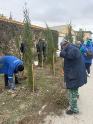 Binəqədi rayonunda növbəti iməcilik işləri həyata keçirildi