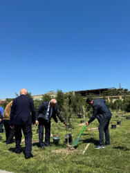 Binəqədi rayonunda "Dərnəgül" metrosunun yaxınlığındakı ərazidə “Konstitusiya və Suverenlik İli” çərçivəsində ümummilli lider Heydər Əliyevin anadan olmasının 102-ci ildönümü münasibətilə ağacəkmə aksiyası keçirildi