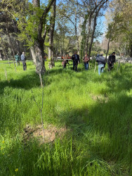 Binəqədi rayonunda 18 aprel 2026-cı il tarixində növbəti ümumrayon iməciliyi keçirildi