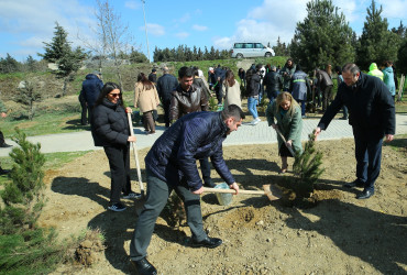 Binəqədidə “Şəhərsalma və Memarlıq İli” ili çərçivəsində ağacəkmə aksiyası keçirildi