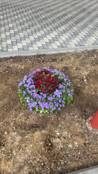 05 may 2025-ci il tarixində rayonun Biləcəri qəsəbəsində iməclik işləri davam etdirildi