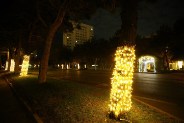 31 Dekabr - “Dünya Azərbaycanlılarının Həmrəyliyi Günü” və “Yeni il” bayramı münasibətilə Binəqədi rayonunun prospektləri, küçələri, parkları bəzədildi