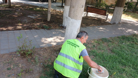Binəqədi rayonunda 12 iyul 2025-ci il tarixində növbəti ümumrayon iməciliyi keçirildi