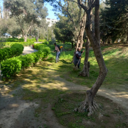 Binəqədi rayonunda 11 aprel 2026-cı il tarixində növbəti ümumrayon iməciliyi keçirildi