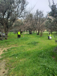 30 mart 2026-cı il tarixində paytaxtda keçirilən ümumşəhər iməciliyi çərçivəsində Binəqədi rayonunda da növbəti ümumrayon iməciliyi keçirildi