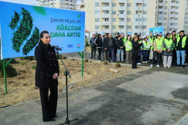 Binəqədi rayonunda Zəfər Günün beşinci ildönümü münasibətilə ağacəkmə aksiyası keçirildi