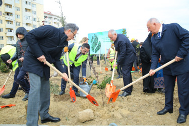 Binəqədi rayonunda Zəfər Günün beşinci ildönümü münasibətilə ağacəkmə aksiyası keçirildi