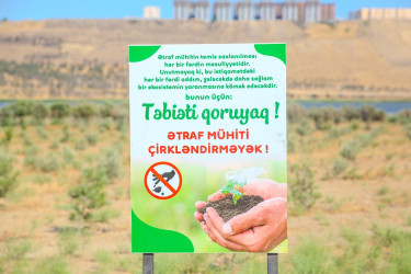 Binəqədi rayonunda “Konstitusiya və Suverenlik İli” çərçivəsində “Ətraf mühitin mühafizəsi və ekoloji maarifləndirmə” mövzusunda aksiya keçirilib