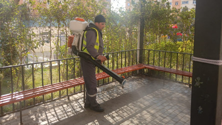 Binəqədi rayonunda 14 mart 2026-cı il tarixində növbəti ümumrayon iməciliyi keçirildi