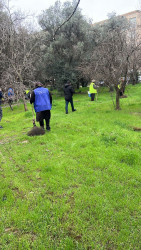 30 mart 2026-cı il tarixində paytaxtda keçirilən ümumşəhər iməciliyi çərçivəsində Binəqədi rayonunda da növbəti ümumrayon iməciliyi keçirildi