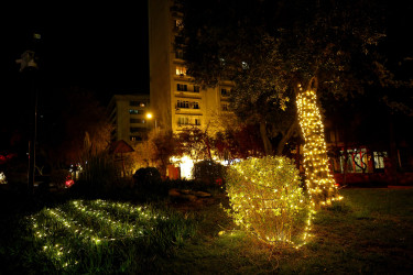 31 Dekabr - “Dünya Azərbaycanlılarının Həmrəyliyi Günü” və “Yeni il” bayramı münasibətilə Binəqədi rayonunun prospektləri, küçələri, parkları bəzədildi