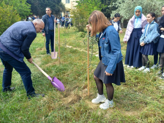 Xocəsən qəsəbəsində “Konstitusiya və Suverenlik İli” çərçivəsində 02 may 2025-ci il tarixində ağacəkmə aksiyasi keçirildi