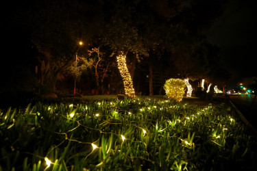 31 Dekabr - “Dünya Azərbaycanlılarının Həmrəyliyi Günü” və “Yeni il” bayramı münasibətilə Binəqədi rayonunun prospektləri, küçələri, parkları bəzədildi