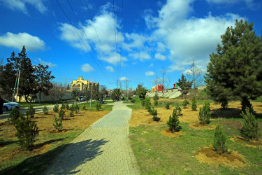 Binəqədidə “Şəhərsalma və Memarlıq İli” ili çərçivəsində ağacəkmə aksiyası keçirildi
