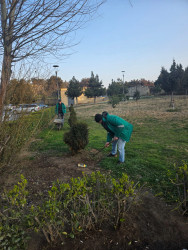 Binəqədi rayonunda 14 mart 2026-cı il tarixində növbəti ümumrayon iməciliyi keçirildi