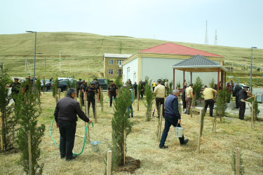 Xocəsən qəsəbəsində ağacəkmə aksiyası keçirildi