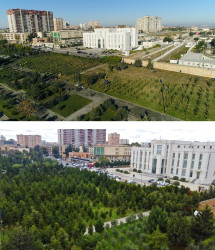 Binəqədi rayonu Dərnəgül yaşayış massivində şəhidlərin xatirə parkı böyük yaşıllıq ərazisinə çevrilmişdir
