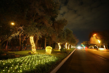31 Dekabr - “Dünya Azərbaycanlılarının Həmrəyliyi Günü” və “Yeni il” bayramı münasibətilə Binəqədi rayonunun prospektləri, küçələri, parkları bəzədildi