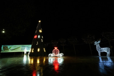 31 Dekabr - “Dünya Azərbaycanlılarının Həmrəyliyi Günü” və “Yeni il” bayramı münasibətilə Binəqədi rayonunun prospektləri, küçələri, parkları bəzədildi