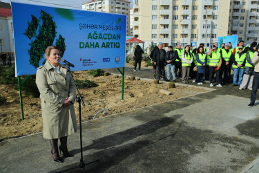 Binəqədi rayonunda Zəfər Günün beşinci ildönümü münasibətilə ağacəkmə aksiyası keçirildi