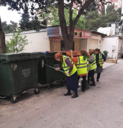 Binəqədi rayonunda 24 may 2025-ci il tarixində növbəti ümumrayon iməciliyi keçirildi.