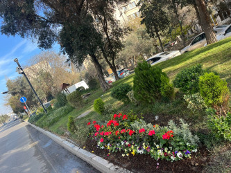 Binəqədi rayonu ərazisində abadlıq və təmizlik işləri mütəmadi davam etdirilir