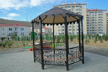 Binəqədi rayonunda Zəfər Günün beşinci ildönümü münasibətilə ağacəkmə aksiyası keçirildi