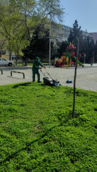 Binəqədi rayonunda 18 aprel 2026-cı il tarixində növbəti ümumrayon iməciliyi keçirildi