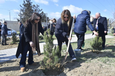 Binəqədidə “Şəhərsalma və Memarlıq İli” ili çərçivəsində ağacəkmə aksiyası keçirildi