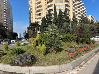 Binəqədi rayonu ərazisində abadlıq və təmizlik işləri mütəmadi davam etdirilir