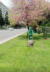 Paytaxtda keçirilən ümumşəhər iməciliyi çərçivəsində Binəqədi rayonunda 09 may 2026-cı il tarixində növbəti ümumrayon iməciliyi keçirildi