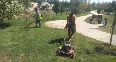Binəqədi rayonunda 12 sentyabr 2026-cı il tarixində növbəti ümumrayon iməciliyi keçirildi