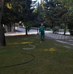 Paytaxtda keçirilən ümumşəhər iməciliyi çərçivəsində Binəqədi rayonunda 15 avqust 2026-cı il tarixində növbəti ümumrayon iməciliyi keçirildi