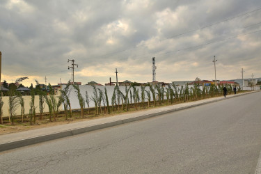 Binəqədi rayonunun mikrorayonlarında və qəsəbələrində “Yaşıl dünya naminə həmrəylik ili” çərçivəsində oktyabr ayı ərzində ağacəkmə aksiyaları keçirildi