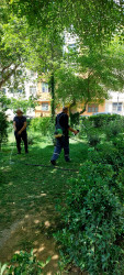 Binəqədi rayonunda 24 may 2025-ci il tarixində növbəti ümumrayon iməciliyi keçirildi.