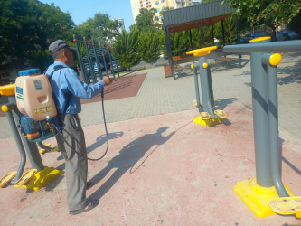 Paytaxtda keçirilən ümumşəhər iməciliyi çərçivəsində Binəqədi rayonunda 15 avqust 2026-cı il tarixində növbəti ümumrayon iməciliyi keçirildi