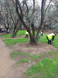 30 mart 2026-cı il tarixində paytaxtda keçirilən ümumşəhər iməciliyi çərçivəsində Binəqədi rayonunda da növbəti ümumrayon iməciliyi keçirildi