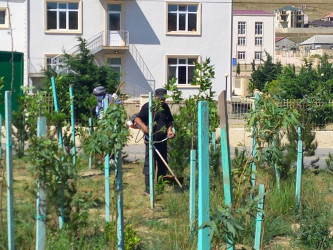 Rayonunun Xocəsən qəsəbəsində şəhid ailələri və müharibə əlillərinin yaşadığı kompleksin yaxınlığında abadlıq işləri həyata keçirildi