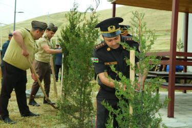 Xocəsən qəsəbəsində ağacəkmə aksiyası keçirildi