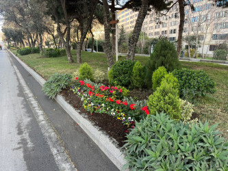 Binəqədi rayonu ərazisində abadlıq və təmizlik işləri mütəmadi davam etdirilir